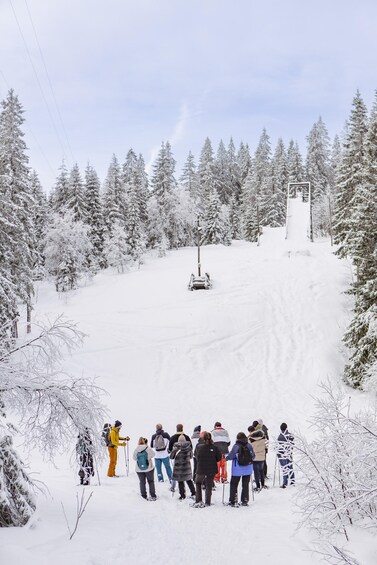 Picture 11 for Activity From Oslo: Oslomarka Forest Guided Snowshoeing Tour