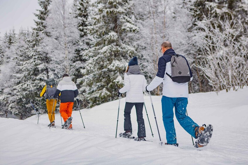 Picture 5 for Activity From Oslo: Oslomarka Forest Guided Snowshoeing Tour