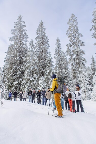 Picture 7 for Activity From Oslo: Oslomarka Forest Guided Snowshoeing Tour