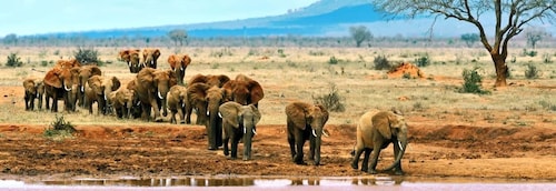 2 päivän villieläinsafari Tsavo East & Tsavo West Parkiin