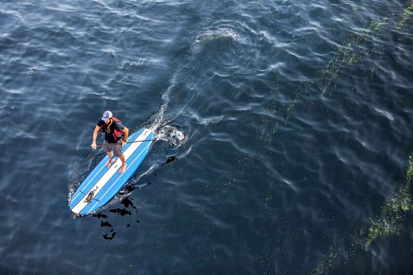 Picture 5 for Activity Stand Up Paddle Boarding in Trincomalee