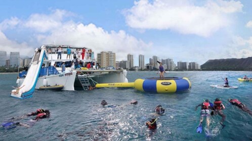 Waikiki: 5-in-1 Turtle Snorkelling Trip with Transfer