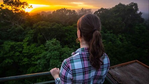 Excursión 2D a Collpa Guacamayo | Puesta de sol en la jungla |