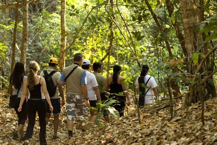 Picture 3 for Activity San Cristóbal: Lacandona Jungle 4 Days Tour