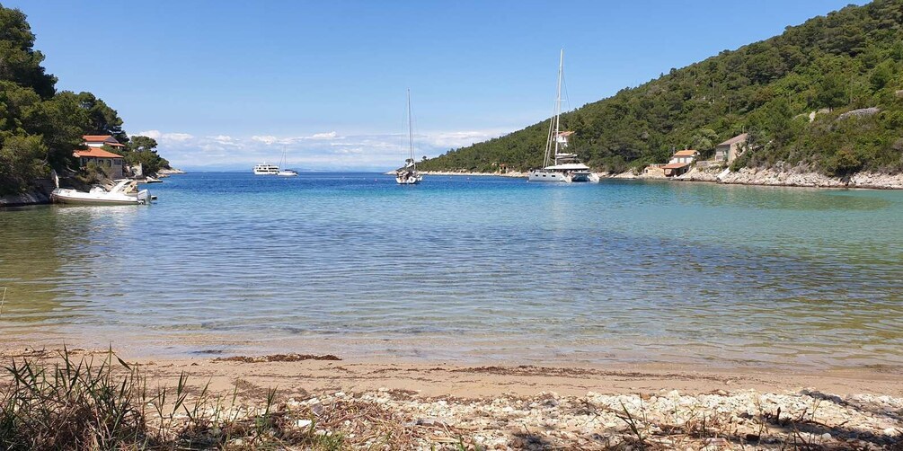 Picture 17 for Activity Hvar:Blue & Grenn Cave and Vis Island Private Speedboat Tour