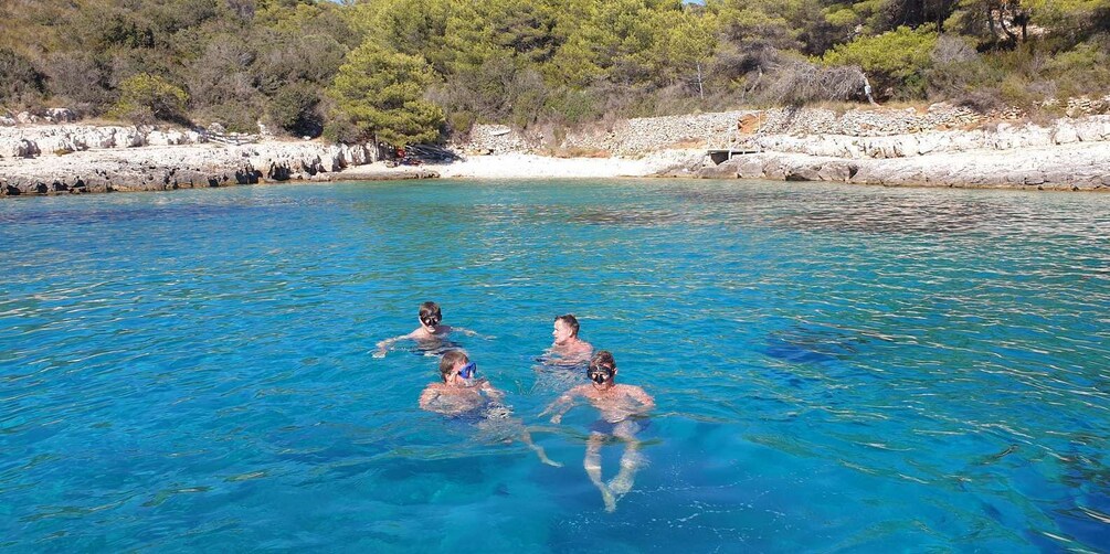 Picture 16 for Activity Hvar:Blue & Grenn Cave and Vis Island Private Speedboat Tour