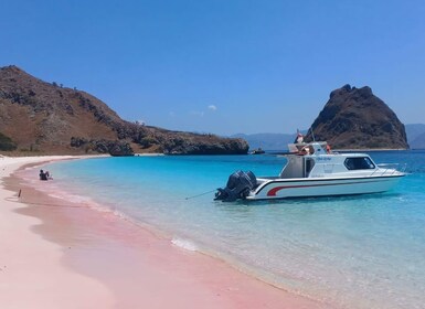 Komodo Tour : Full Day Private Speedboat all In Package