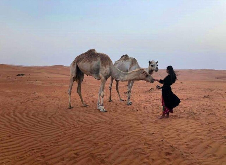 Picture 2 for Activity Private Day Trip to Grand Mosque & Wahiba Sands