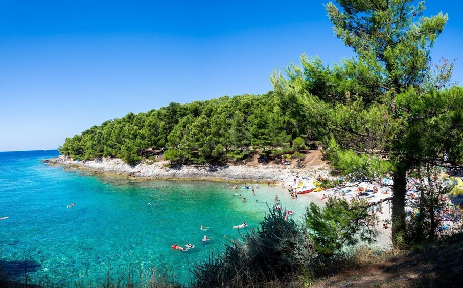 Picture 4 for Activity Fažana: Boat tour Istria & N.P. Brijuni