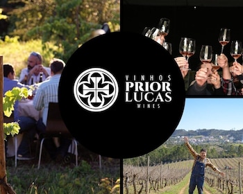 Coimbra: Prior Lucas Winery and Vineyard Visit with Tastings