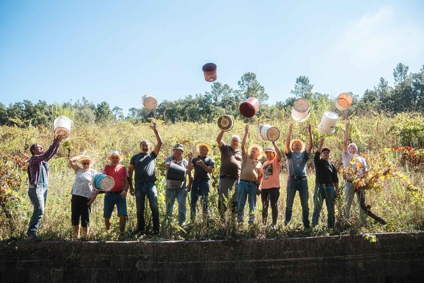 Picture 14 for Activity Coimbra: Prior Lucas Winery and Vineyard Visit with Tastings