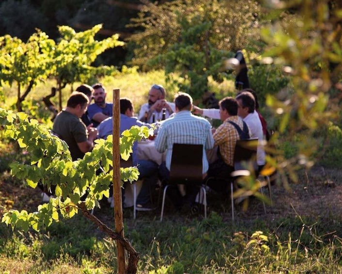 Picture 10 for Activity Coimbra: Prior Lucas Winery and Vineyard Visit with Tastings