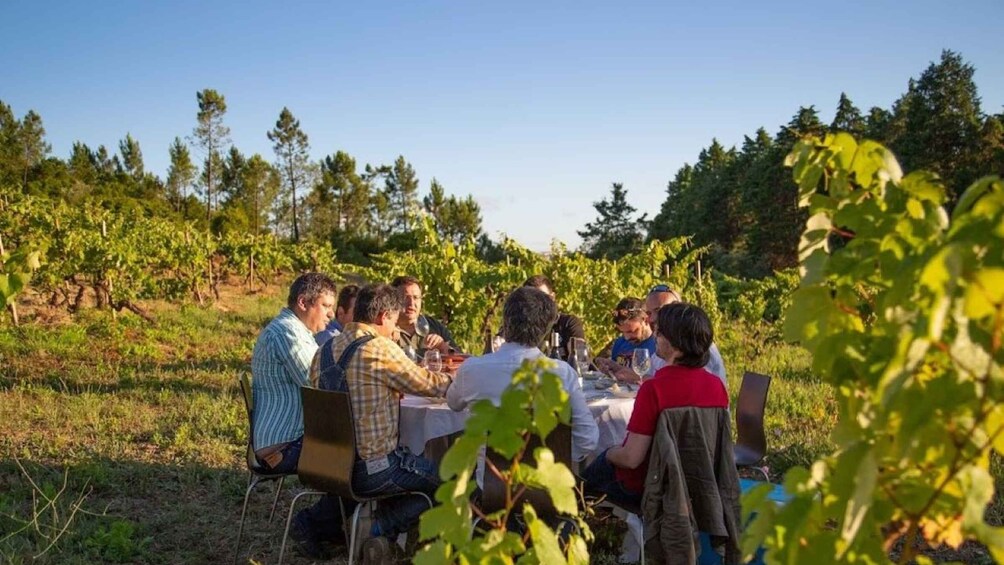 Picture 9 for Activity Coimbra: Prior Lucas Winery and Vineyard Visit with Tastings