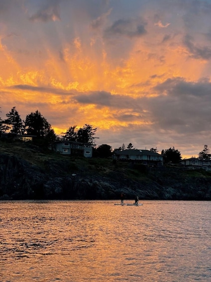 Picture 1 for Activity Victoria: Sunrise or Sunset SUP Tour