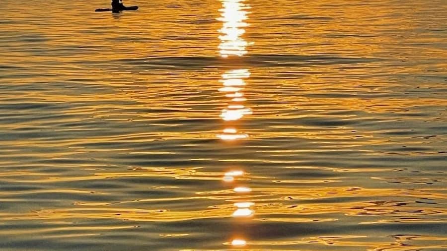 Victoria: Sunrise or Sunset SUP Tour