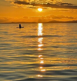 Victoria: Sunrise or Sunset SUP Tour