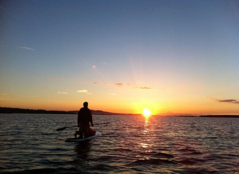 Picture 3 for Activity Victoria: Sunrise or Sunset SUP Tour