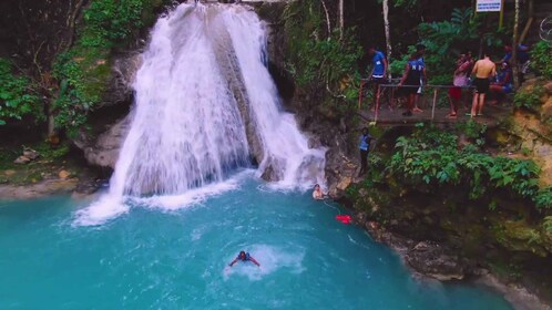 Montego Baysta: Blue Hole Waterfall Experience