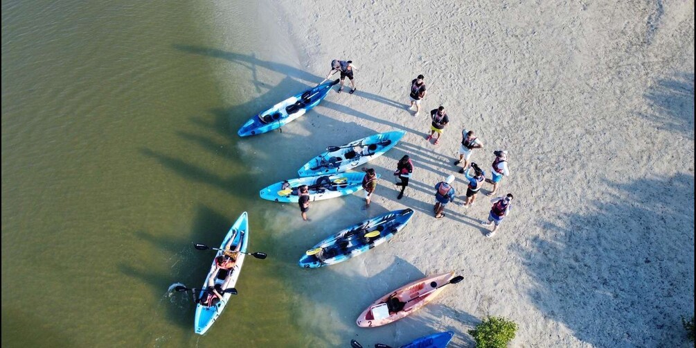 Picture 12 for Activity Purple Island Mangrove Kayaking: Eco Adventure Awaits