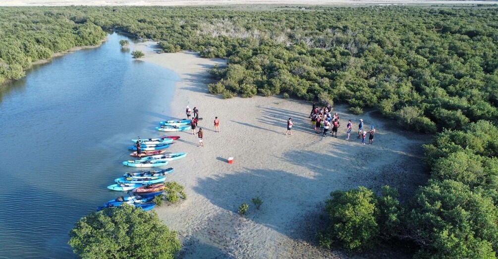 Picture 1 for Activity Purple Island Mangrove Kayaking: Eco Adventure Awaits
