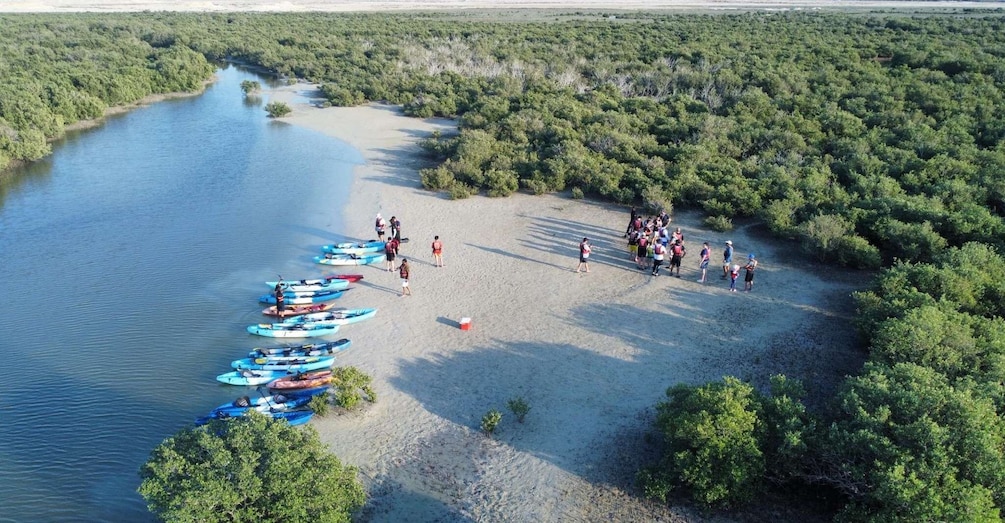 Picture 1 for Activity Purple Island Mangrove Kayaking: Eco Adventure Awaits