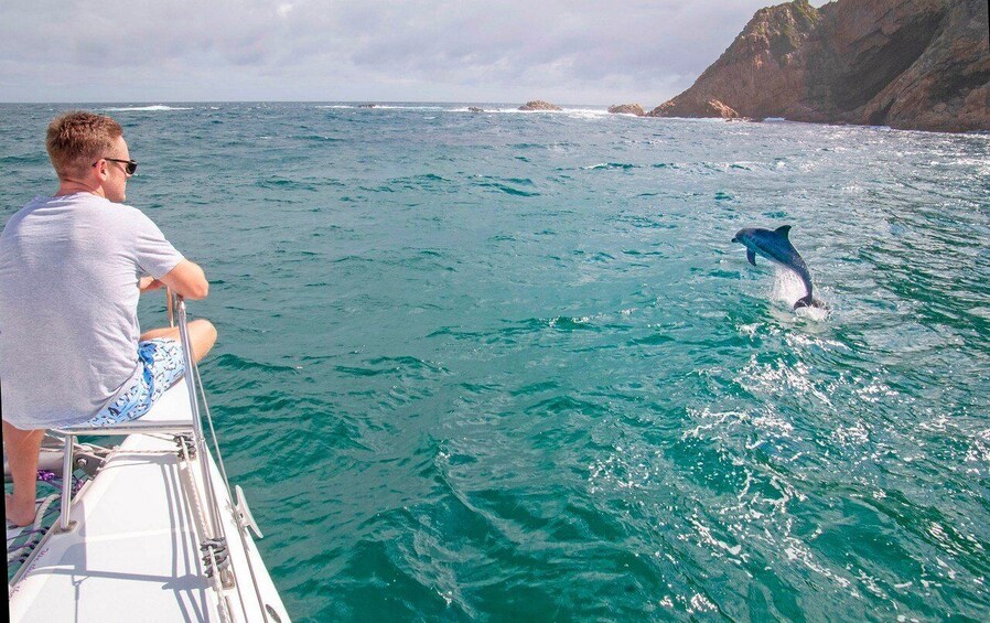 Picture 6 for Activity Knysna: #1 Private Scenic Cruise Aboard a Luxury Catamaran