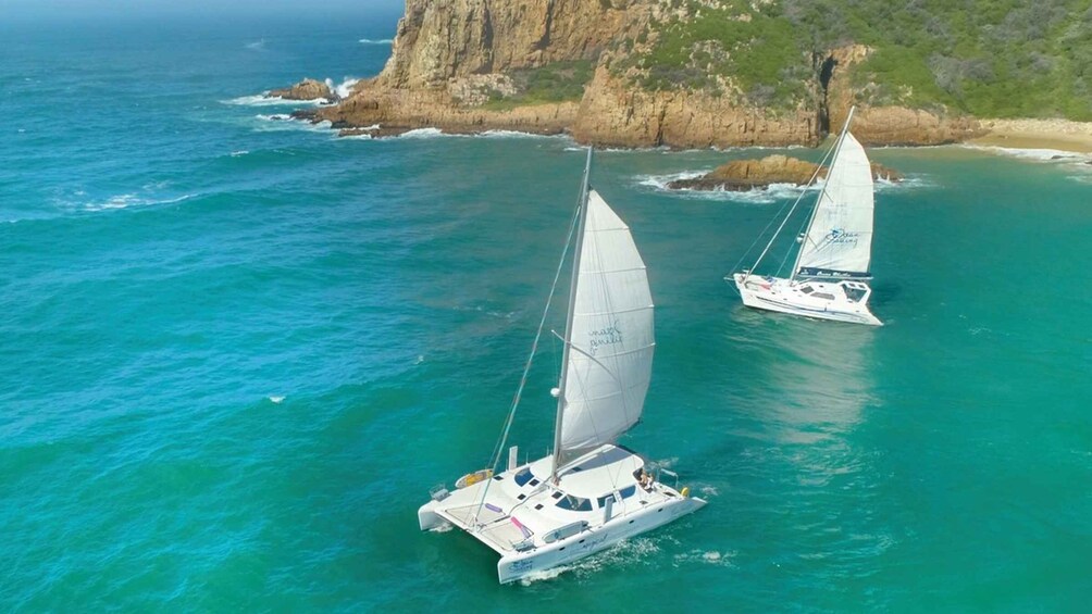 Picture 3 for Activity Knysna: #1 Private Scenic Cruise Aboard a Luxury Catamaran