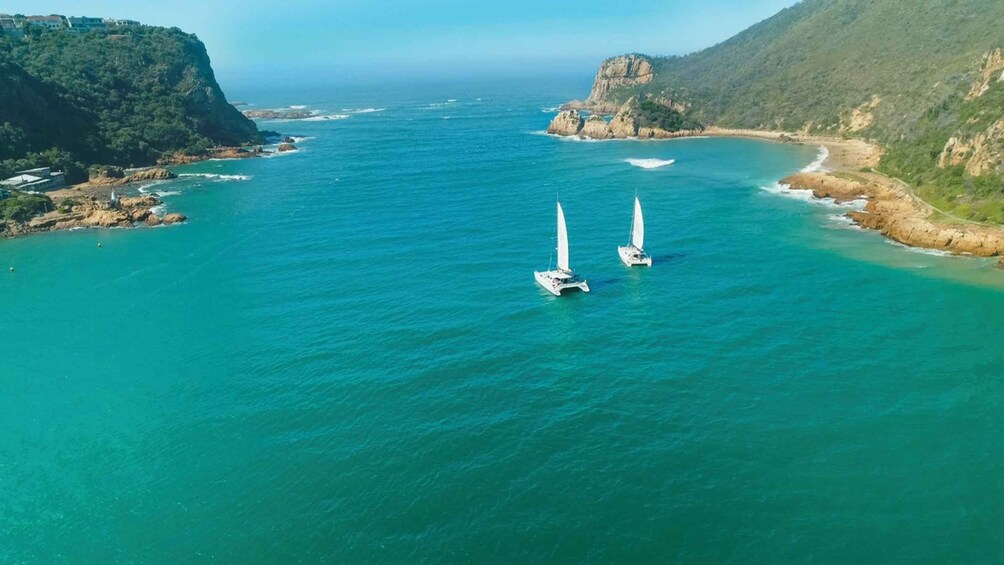 Picture 2 for Activity Knysna: #1 Private Scenic Cruise Aboard a Luxury Catamaran