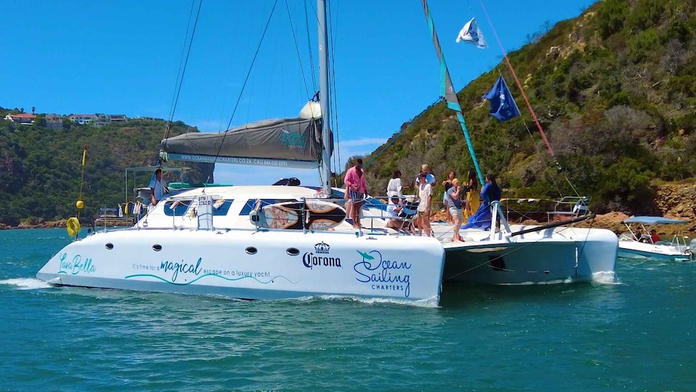 Picture 4 for Activity Knysna: #1 Private Scenic Cruise Aboard a Luxury Catamaran