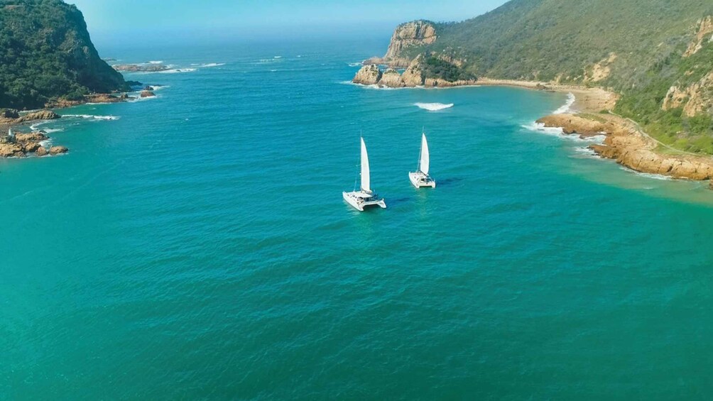 Picture 2 for Activity Knysna: #1 Private Scenic Cruise Aboard a Luxury Catamaran