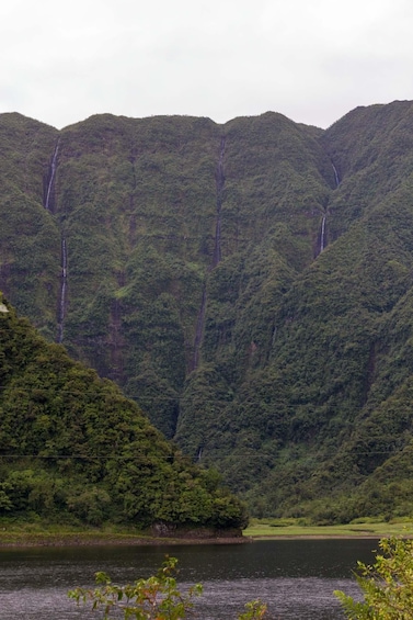 Picture 5 for Activity Group hike around Grand Etang, Reunion Island.