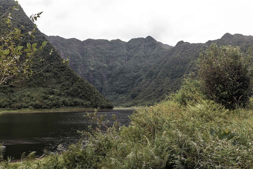 Group hike around Grand Etang, Reunion Island.