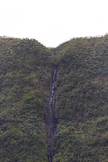 Picture 4 for Activity Group hike around Grand Etang, Reunion Island.