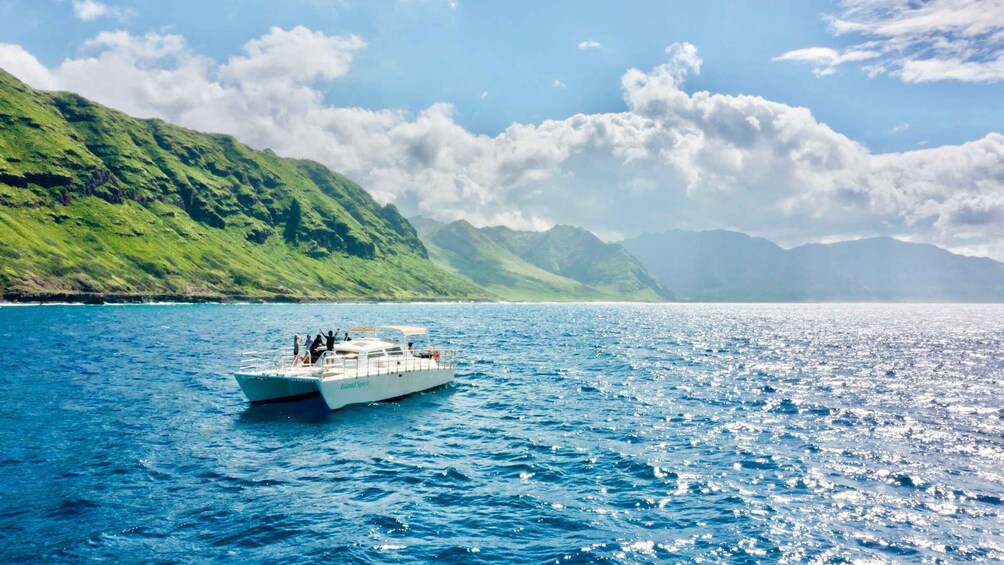 Picture 1 for Activity West O'ahu: Swim with Dolphins Catamaran Cruise