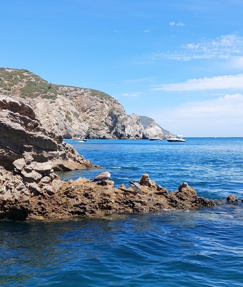 Picture 8 for Activity Sesimbra: Ribeiro do Cavalo Beach Roundtrip Boat Transfer