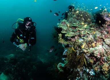 Scuba Diving in Boracay: SSI Open Water Certification