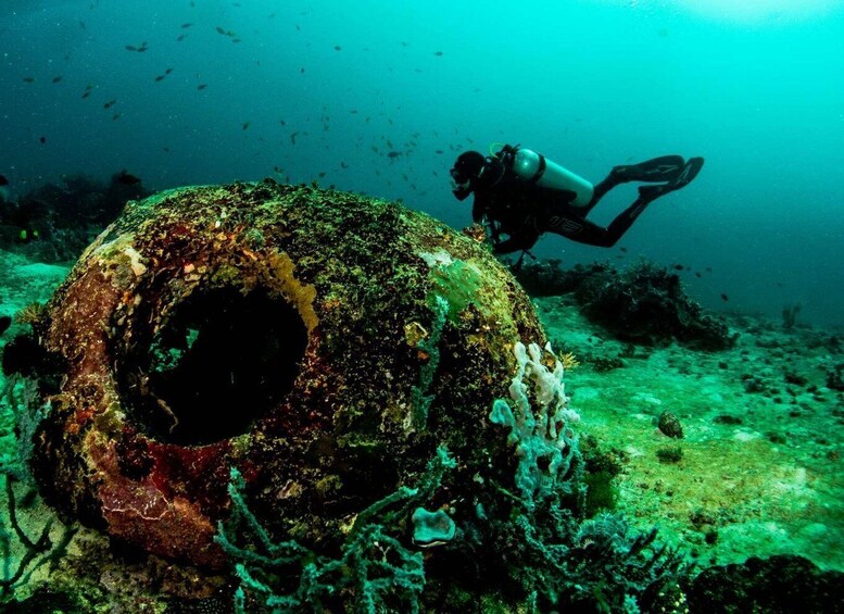 Picture 5 for Activity Scuba Diving in Boracay: SSI Open Water Certification