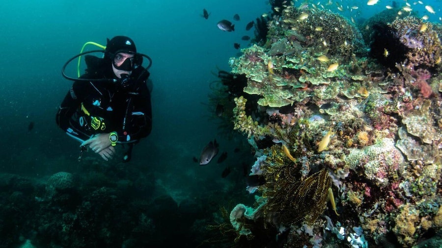 Scuba Diving in Boracay: SSI Open Water Certification