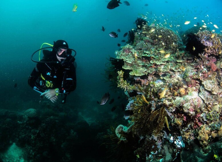 Scuba Diving in Boracay: SSI Open Water Certification