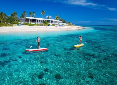 Från Denarau, Wailoaloa, Nadi: Halvdag Malamala Beach Club