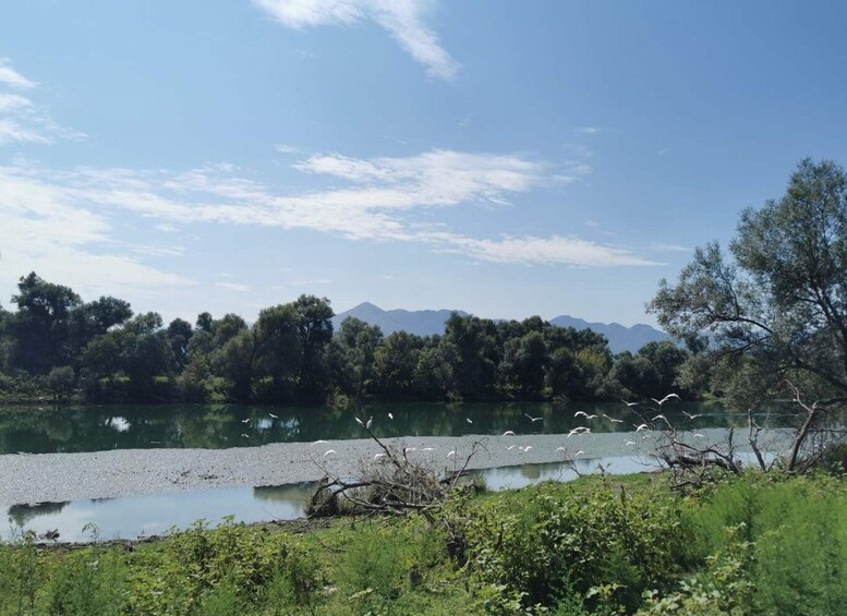 Picture 17 for Activity From Virpazar: Skadar Lake Scenic Cruise