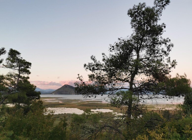 Picture 29 for Activity From Virpazar: Skadar Lake Scenic Cruise