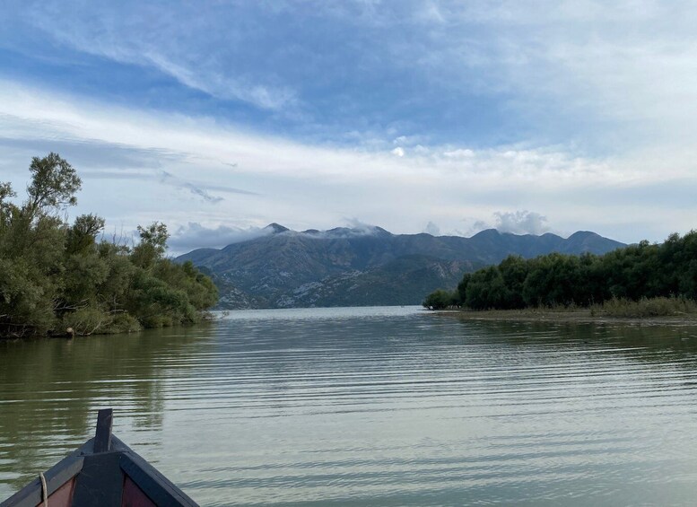 Picture 15 for Activity From Virpazar: Skadar Lake Scenic Cruise