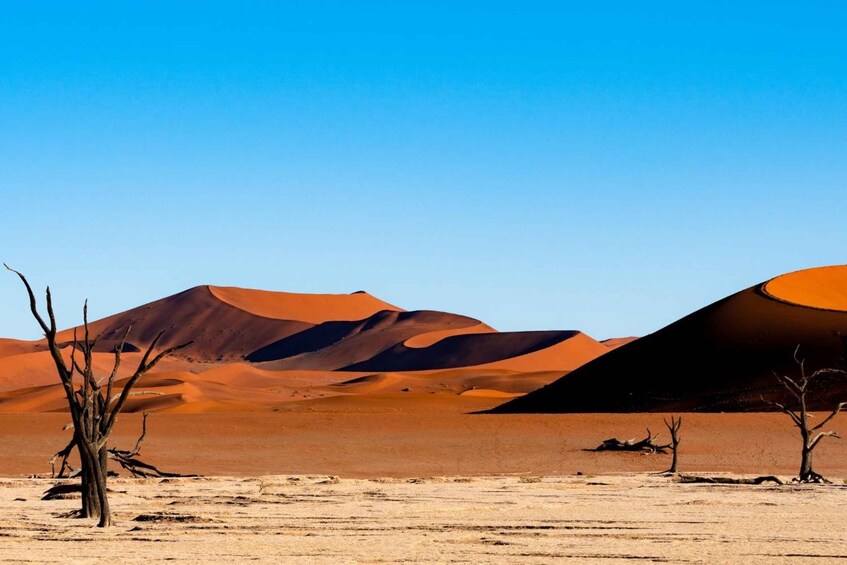 7-Day Self-Drive Around Namibia Mid-Range Tour