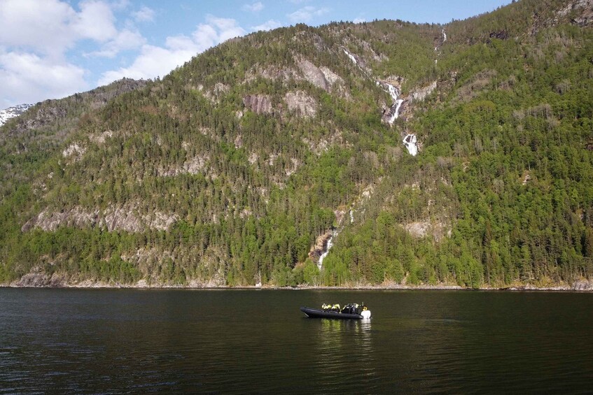 Ulvik fjord cruise: Scenic RIB adventure to Osafjord