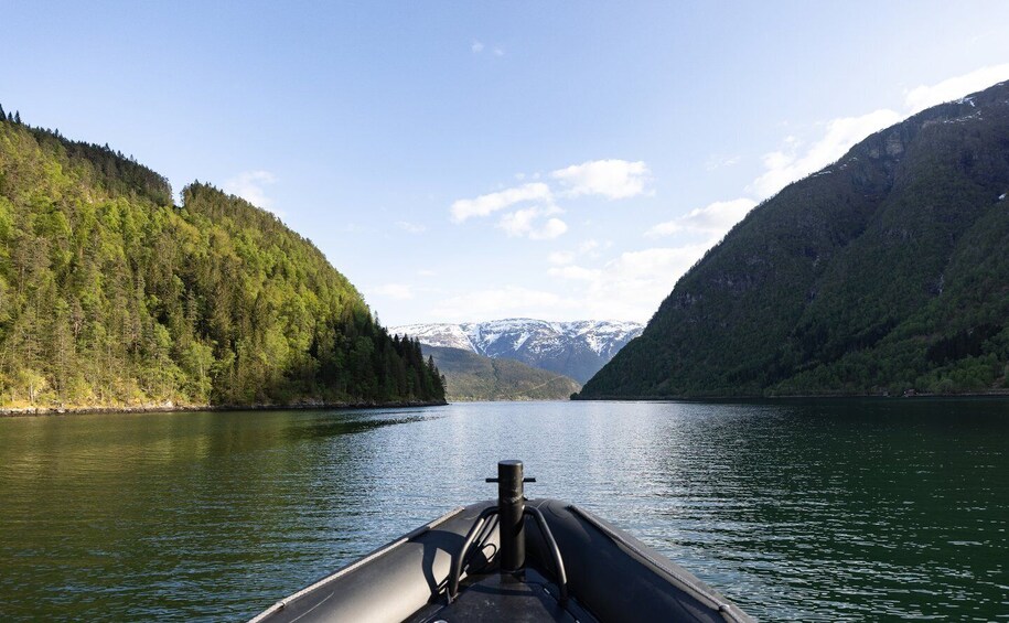 Picture 3 for Activity Ulvik fjord cruise: Scenic RIB adventure to Osafjord