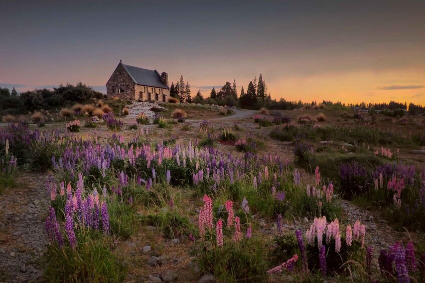 Picture 6 for Activity From Christchurch: 1-Way Mount Cook & Lake Tekapo Tour