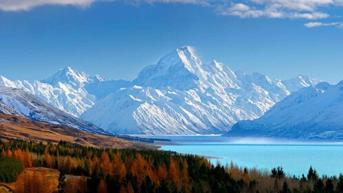 Christchurch: to Mount Cook via Lake Tekapo 1-Way Tour