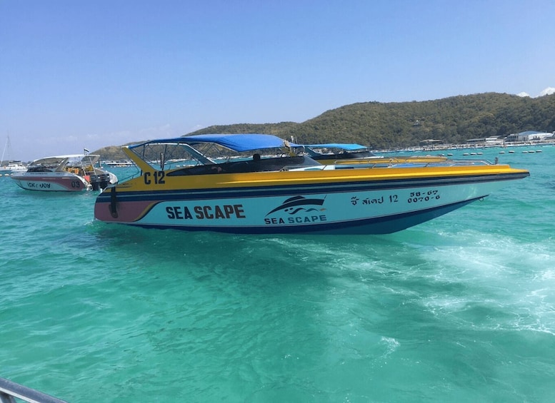 Picture 3 for Activity Pattaya: Private Speedboat to Coral Islands Cruise