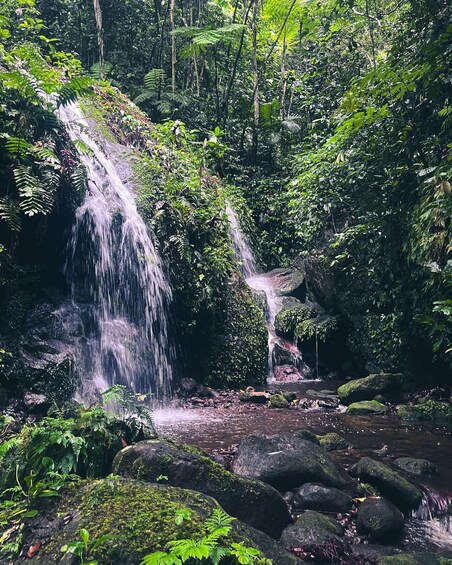 Picture 1 for Activity Nevis Waterfalls/Russel's Rest Hike